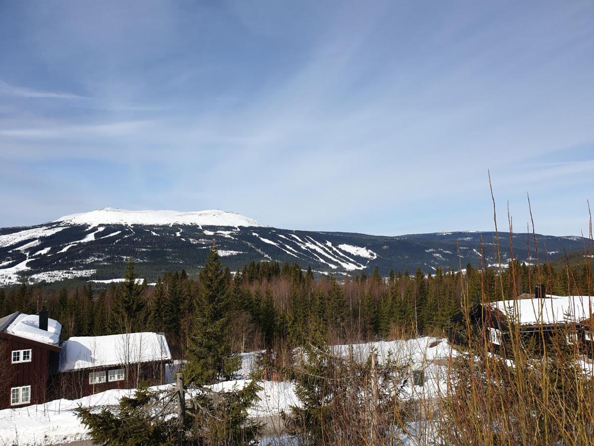 Reveenka - Cabin In Trysil With Jacuzzi For Rent Екстер'єр фото